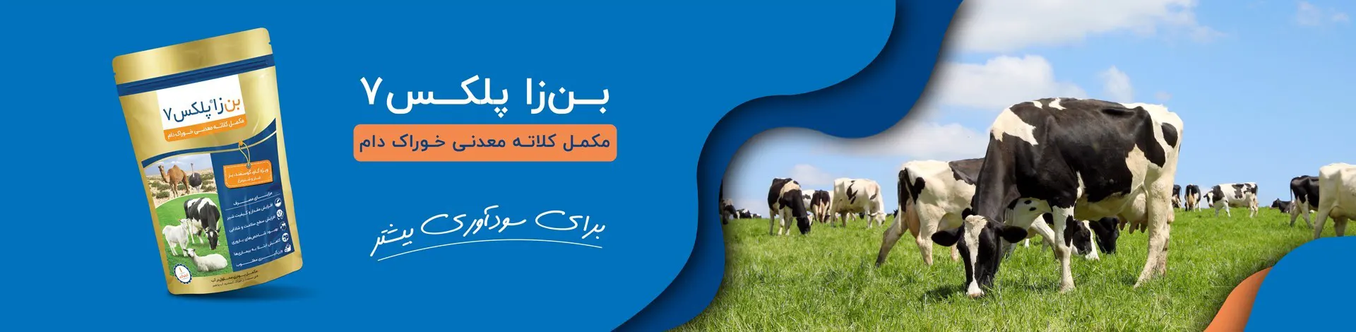 بنر بن زا پلکس7