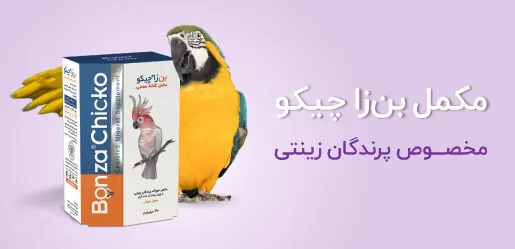 مکمل بن زا چیکو
