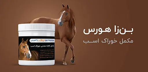 مکمل بن زا هورس