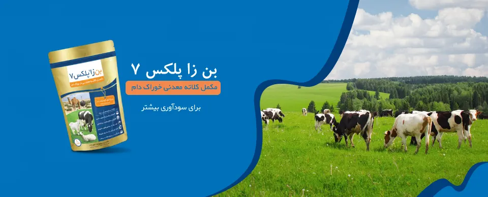 بنر بن زا پلکس7