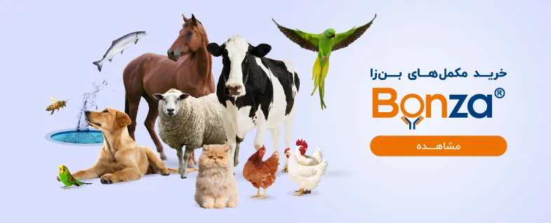 دسته بندی محصولات بن زا